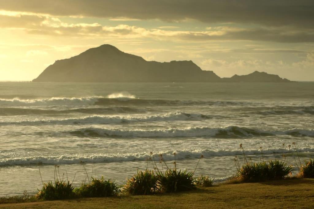 Cape South Estate - International Award-Winning Country Estate With Pacific Views แฮฟล็อค นอร์ท ภายนอก รูปภาพ